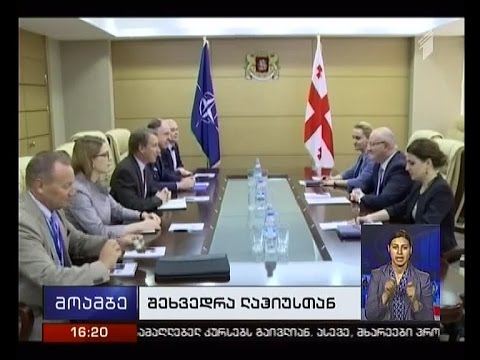 ლევან იზორია საქართველოში ნატო-ს წარმომადგენლებს შეხვდა