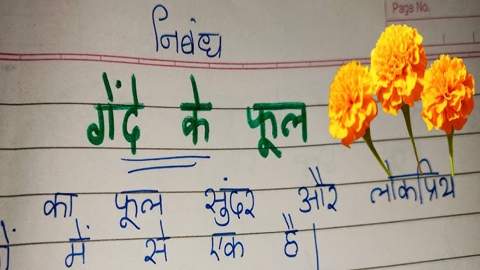10 Lines On Hibiscus Flower In Hindi