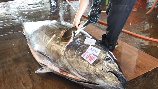 Раскройте секретные навыки мастера разделки гигантского голубого тунца весом 316 кг.