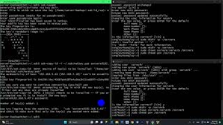 Server Data-Backup (RSYNC)