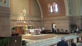 15th Sunday in Ordinary Time