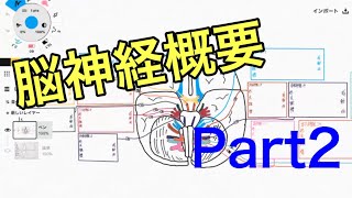 脳神経の概要2:顔面神経から舌下神経まで解説してみた