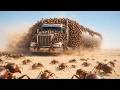 Giant Ants Attack Humans | Movie Explained 🐜