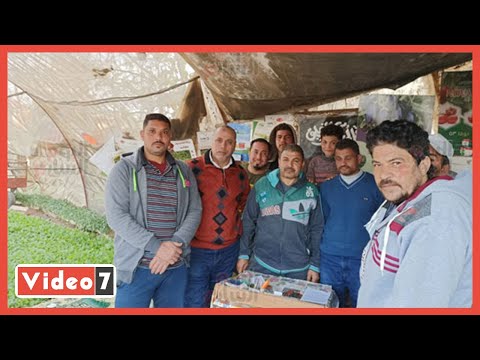 ضحايا مستريح المنوفية يروون قصص جمع الملايين فى غمضة عين
