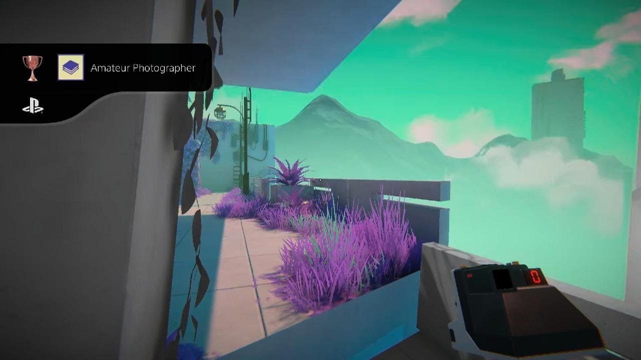 Viewfinder Trophy Amateur Photographer