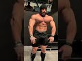 Future Classic King Mike Sommerfeld Of Physique #rmdesifitness #mrolympia #mikesommerfeld #ytshorts