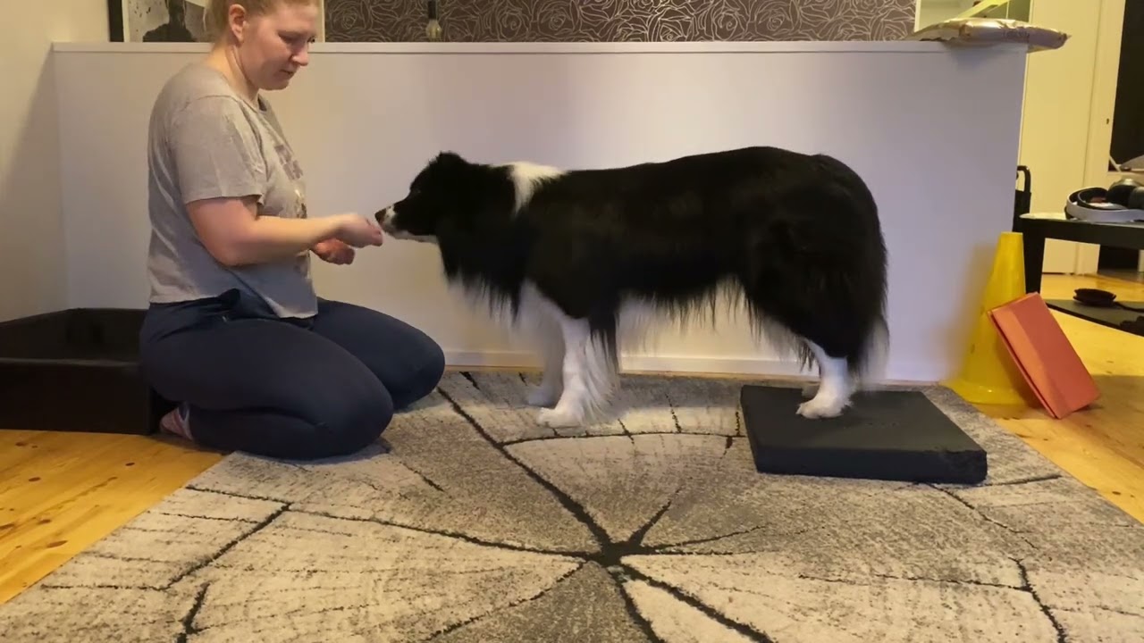 Jumppakuukausi 1vk 2025 04 24 22 54 26