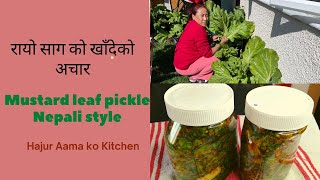 रायो साग को खादेको अचार यसरी बनाअनु होस । EXOTIC Mustard Leaf PICKLE | Rayo ko saag ko achar