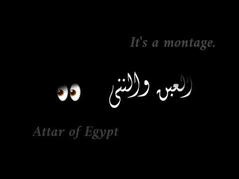 افجر حالة واتس مهرجان حمو الطيخا ومودي امين  الجديد وجودك جنمبي والله ياصاحبي مطمني جديد 