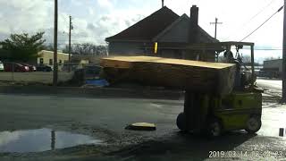 Homemade sawmill cutting Large white oak log into slabs 2019 March 14