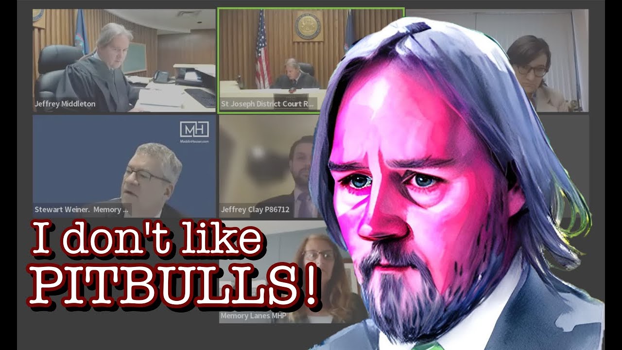 OUT OF CONTROL PITBULL in Judge Middleton's landlord/tenant court YouTube