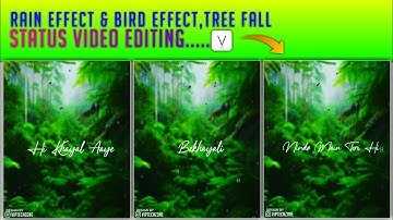 Rain Effect & Bird Effect Status Video Editing | Tree Fall Status | How To Make Lyrics Status Video