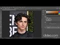 Timothee Chalamet Edit Italian Painting