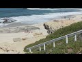 The Surf Report | Sunday, June 7