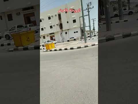 الرويضة وذكريات المصريين