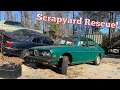 Will this Classic Alfa Romeo Run and Drive after Sitting 20 Years! Scrapyard Rescue