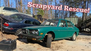 Will this Classic Alfa Romeo Run and Drive after Sitting 20 Years! Scrapyard Rescue