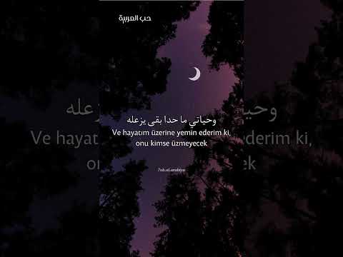 زياد برجي شو حلو باللغة التركية     