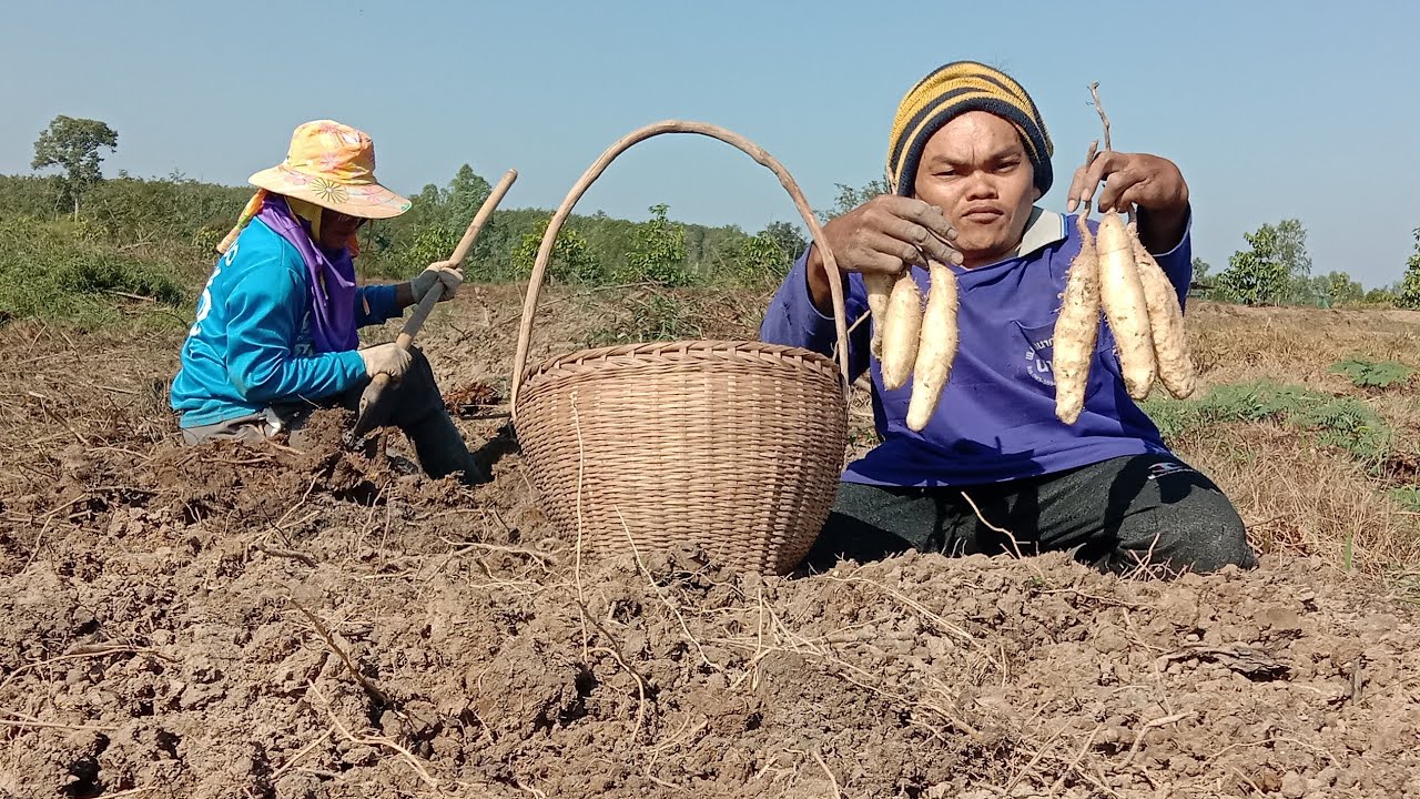 ปิดฉาก‼️หมายนี้มีแต่หัวขาวๆทั้งยาวและใหญ่ #ของป่า #มันแซง #มันนก