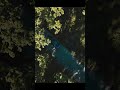mavic 4 tracking car dji mavic 4active trackdrone trackingdji tracking testmavic 4 cinematic