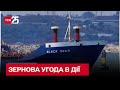 🚢 Україна готується пустити перші судна з зерном з портів