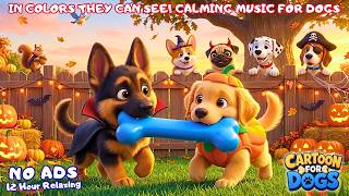 🔴Relaxing Dog Cartoons TV 🐶 Anti-Anxiety Music Cartoon for Dog Home Alone - Ease Dogs Anxiety