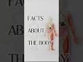 Your body is doing millions of things right now without you even noticing. Pt.1 #facts #didyouknow