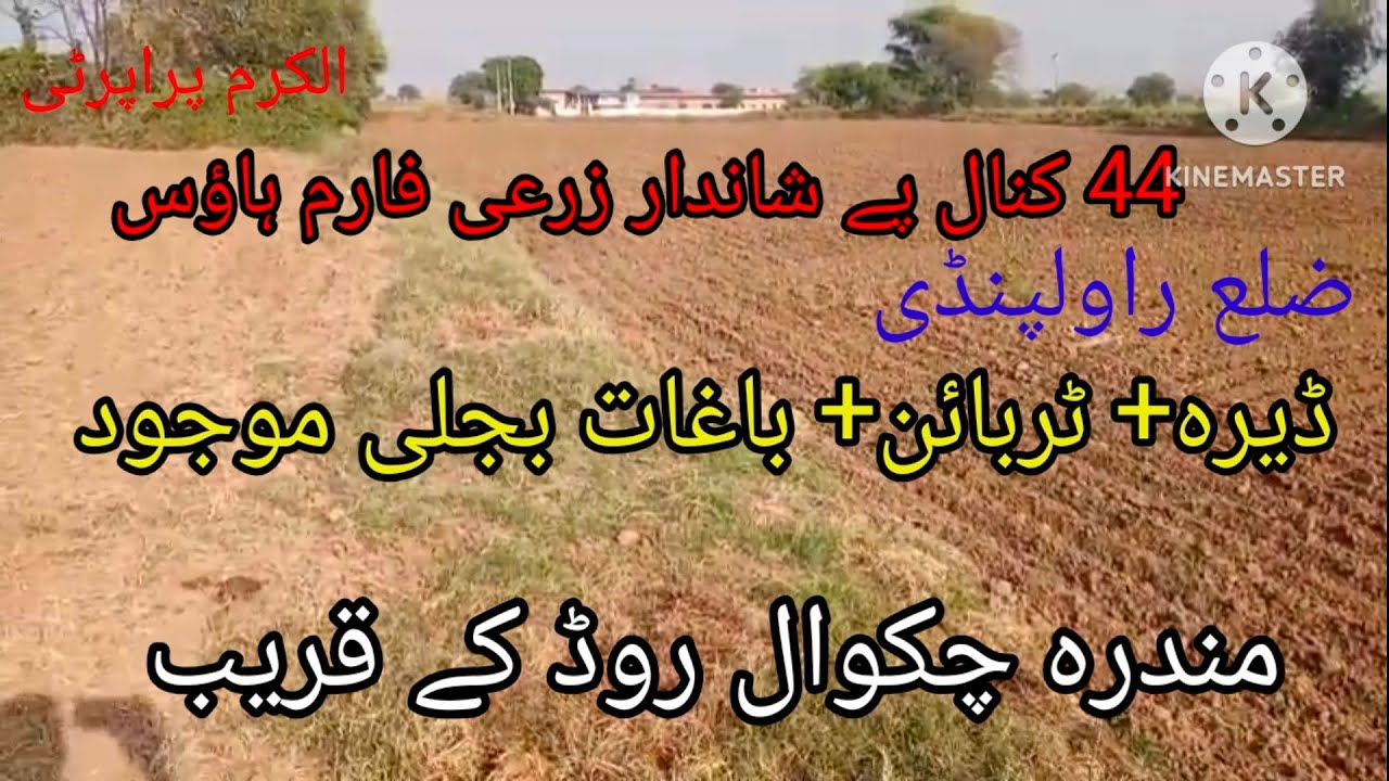 44 کنال پے شاندار زرعی فارم ہاؤس ضلع راولپنڈی تحصیل گوجر خان الکرم پراپرٹی چکوال 