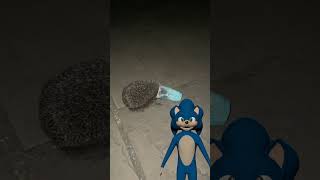 Sonic saves a hedgehog part 3
Subscribe with notifciatons!!
💎Join this channel to get access to perks:
https://www.youtube.com/channel/UC7pp8pL0dwUXcbcah6J576w/join
Links ⬇️
Other Random Channel 🎥
https://www.youtube.com/c/SonicDavidLive
Insta 📸
https://z-p42.www.instagram.com/realsonicdavid
Twitter 🐦
https://mobile.twitter.com/realsonicdavid
Tiktok ✨
https://www.tiktok.com/@realsonicdavid
MADE FOR AGES 13+ Sonic saves a hedgehog part 3