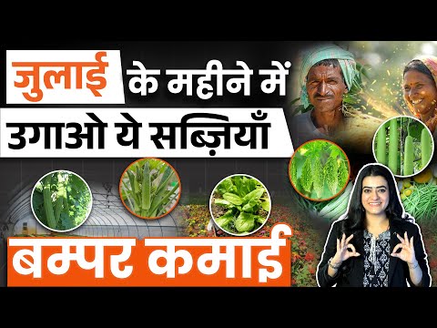 जुलाई में उगाओ ये 5 सब्जियां | कम लागत, ज़्यादा मुनाफा | हर दिन की कमाई होगी पक्की!