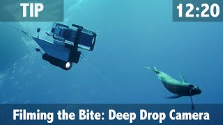 Filming the Bite: Deep Drop Camera