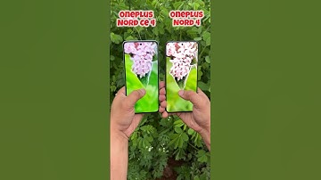 Oneplus Nord CE 4 vs OnePlus Nord 4 Camera Test