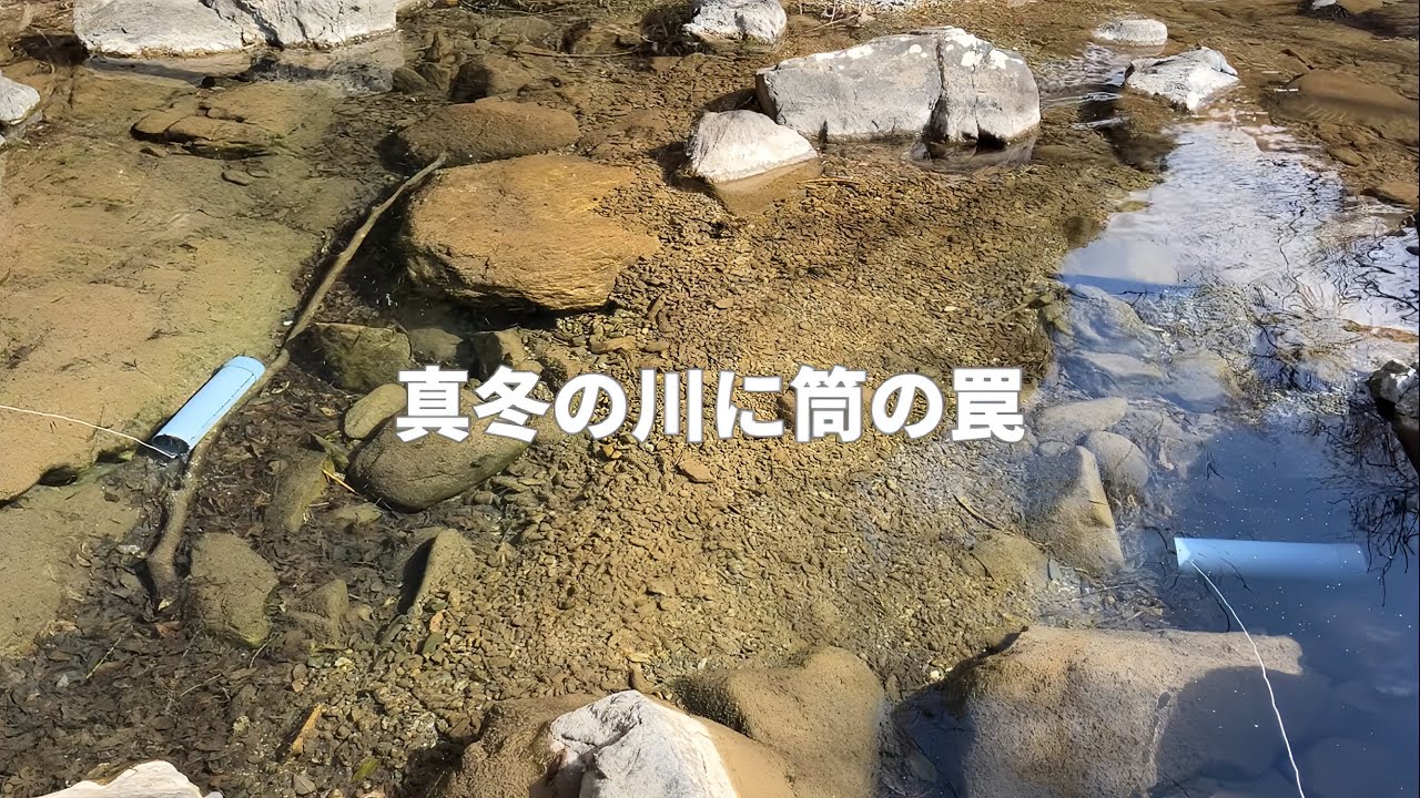 寒バエ釣りの合間に筒の罠も仕掛けておきました