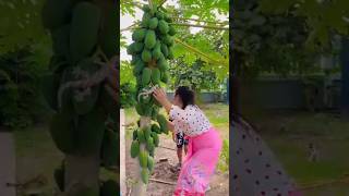 Star To Finish Alone Build Log Cabin Wooden House How To Build Wooden Cabin Surviva