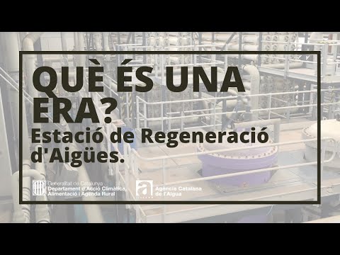 Vídeo: L'ajudant d'advocat és la feina més interessant