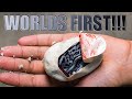 HATCHED A WORLDS FIRST BLUE AND SILVER SNAKE!! SUPER LORI LEOPARD BALL PYTHON!! | BRIAN BARCZYK