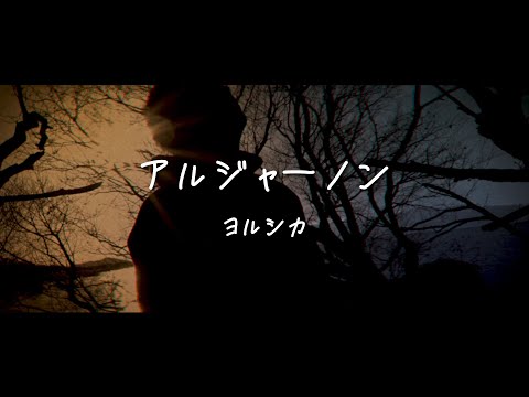 ヨルシカ ／ アルジャーノン 【covered by vitadolce】ドラマ『夕暮れに、手をつなぐ』主題歌 フル歌詞【男性キー】
