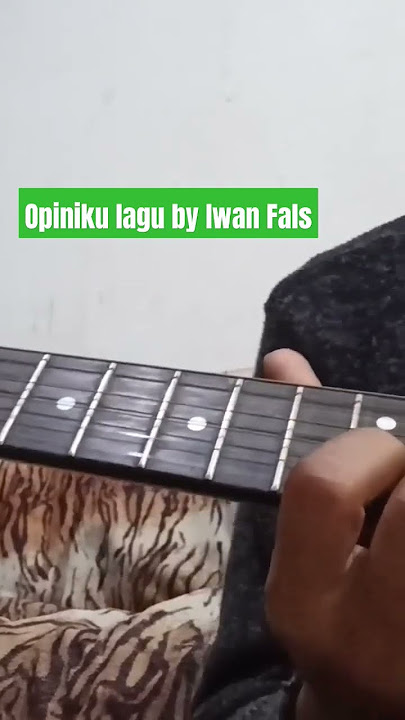 Opiniku lagu Iwan Fals