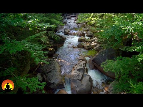 🔴 Relaxing Music 24/7, Calming Music, Relaxation Music, Meditation Music, Sleep Music, Study Music