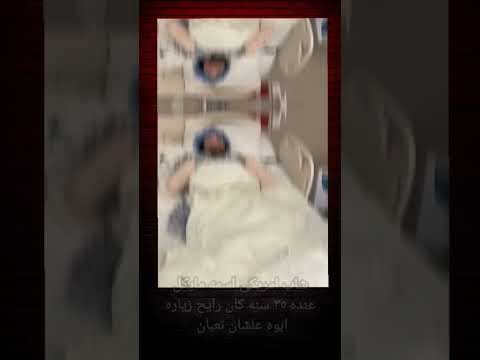 قرصه برغوث حصل ايه تابع حصل ايه قصص حكايات   