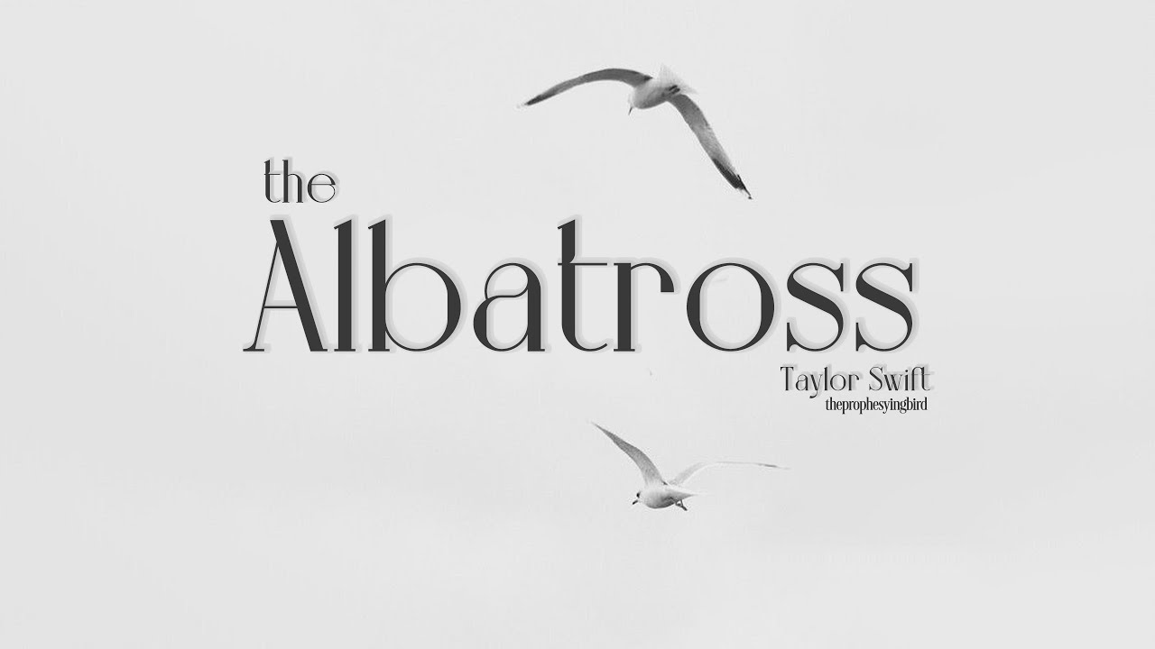 [Vietsub + Lyrics] The Albatross - Taylor Swift