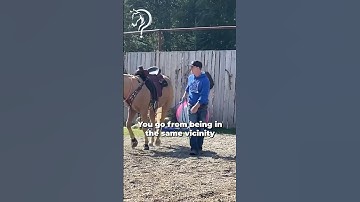 Working With A Buddy Sour Rescue Horse! Part 3! | The Horse Guru - Michael Gascon
