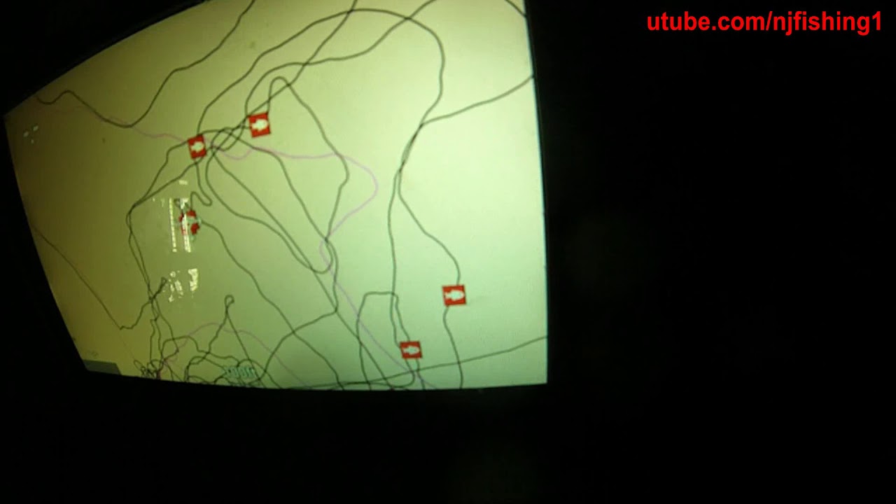 Raymarine Element Fishfinder how to enable Autochart live function