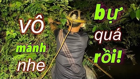 Bắt rắn đêm mùa nước lũ, khai trương kiếm ăn sau mùa dịch | Miền quê Tiền Giang