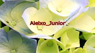 Aleixo Junior    Nsomba Ya Nhume