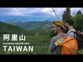 【二延平步道】外國人永生難忘的阿里山之旅 EP.1