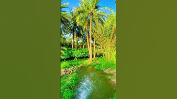 الآية 61 من سورة البقرة القارئ سعود الشريم