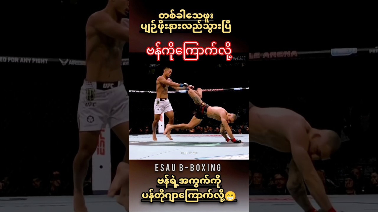 #joshuavan #van #myanmar #ufc #boxing #mma #highlights #one #mua #fighting #sports #shorts #fighter