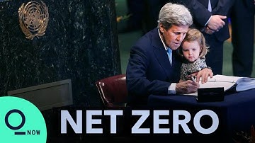 What Has the Paris Climate Agreement Achieved After 5 Years? | Net Zero