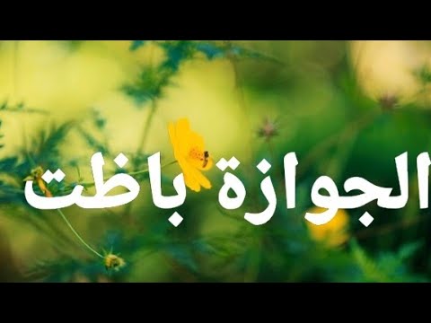 اغنية الجوازة باظت